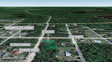 0 Palmetto St unit 25565546, Paisley, FL 32767 - photo 3