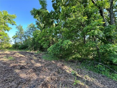 0 Conway Rd unit MAR24032740, Dixon, MO 65459 - photo 7