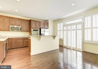 3307 Kemper Rd, Arlington, VA 22206 - photo 4