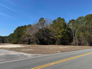 View of road featuring a forest view