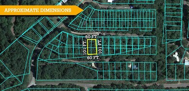 Crane Pr 4738, Jefferson, TX 75657 - photo 5