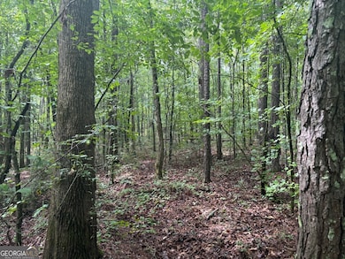 0 Chappell Mill Rd unit 10576810, Milner, GA 30257 - photo 3