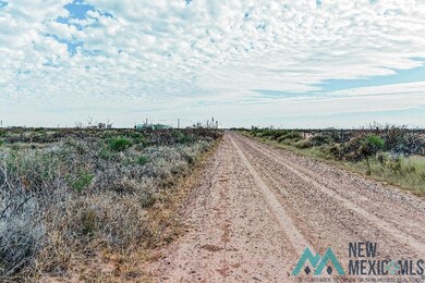 0 Siesta Rd SE unit 20235794, Deming, NM 88030 - photo 6
