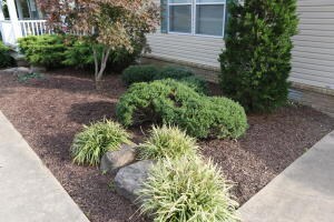 13 Hawkeye Ln, Harrison, AR 72601 - photo 4