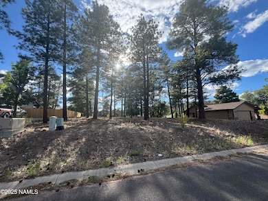 938 Torrey Pines Dr, Williams, AZ 86046 - photo 4