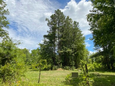 0 Mill Creek Rd unit 7001759, Huntington, TX 75949 - photo 5