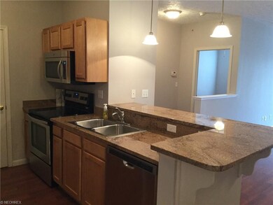 1008 Aqua Marine Blvd unit 46, Avon Lake, OH 44012 - photo 5