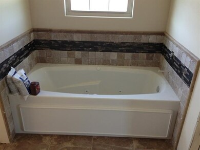 253 W 126th Ave, Crown Point, IN 46307 - photo 4