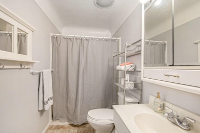 111 S Sherman St, Leslie, MI 49251 - photo 6