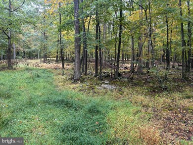 0 Upper Cove Rd, Lost River, WV 26812 - photo 5