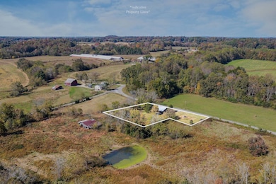 2233 Clementsville Rd, Red Boiling Springs, TN 37150 - photo 4