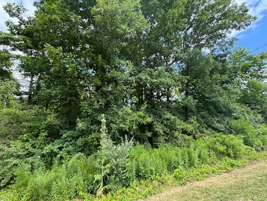 0 E 119th Ave unit 1, Fennville, MI 49408 - photo 4