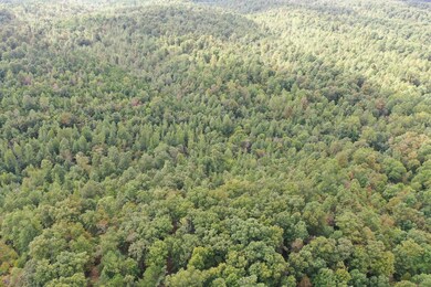 0 Old Hwy 20, Linden, TN 37096 - photo 5