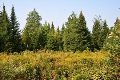 Forest edge
