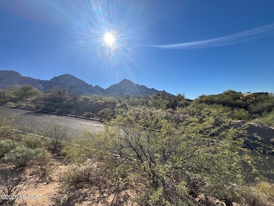 1655 E Buck Ridge Place unit 11, Oro Valley, AZ 85737 - photo 4