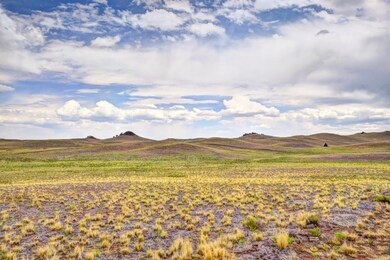 0 Lenape Trail unit S1035343, Hartsel, CO 80449 - photo 7