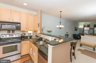 22577 Blue Elder Terrace, Ashburn, VA 20148 - photo 2