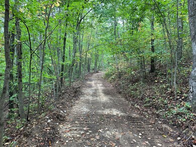 Trail