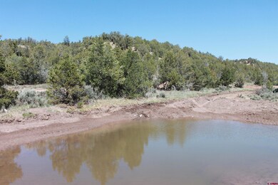 281 Oasis Valley Rd, Durango, CO 81303 - photo 4