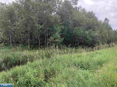 TBD Dass Rd, Meadowland, MN 55765 - photo 4
