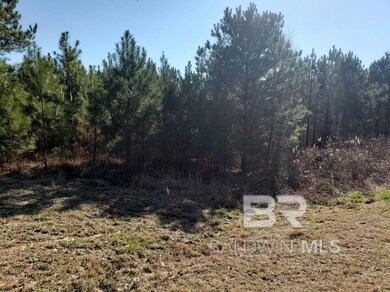 0 Stillwater Ln unit 13 385461, Double Springs, AL 35553 - photo 3