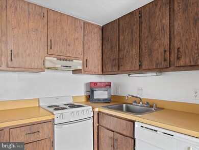 Golden Sands, Ocean City, MD 21842 - photo 5