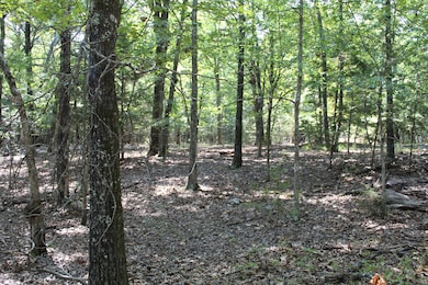 Lot 41-2