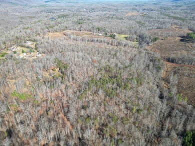 1275 Salem Rd, Schuyler, VA 22969 - photo 5