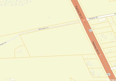 TBD W Highway 501, Aynor, SC 29511 - photo 4