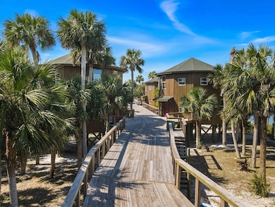 Meandering Boardwalks amongst the Palms