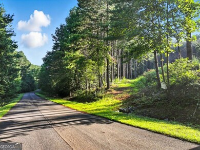 31&32 Fox Paw Leaf Ln, Ellijay, GA 30536 - photo 5