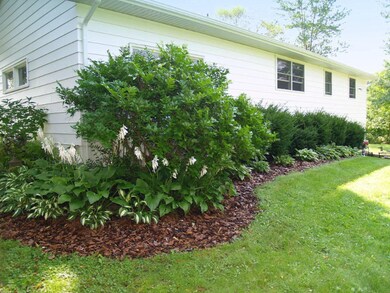 Side Landscaping