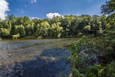 river bank 1