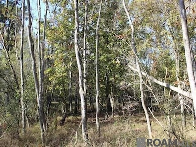 28545 Coker Vail Rd N, Holden, LA 70744 - photo 6