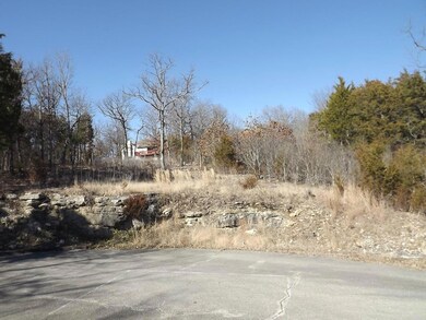 Lot 20 Overton Ct, Ruth B Rural Township, MO 65686 - photo 6