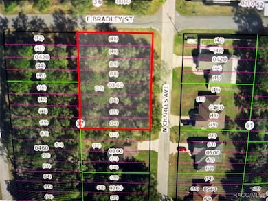 358 N Charles Ave, Inverness, FL 34453 - photo 2