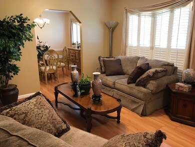 Living Room Area