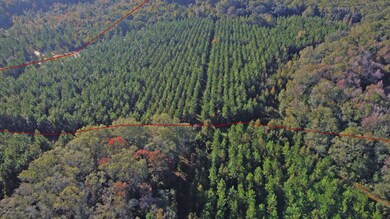 0 Wildlife Way unit 1085697, Callahan, FL 32011 - photo 4