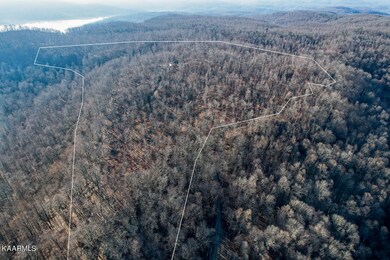 555.59AC Board Valley Rd, Cookeville, TN 38501 - photo 2