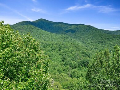 #1 TBD Lotties Creek Rd unit Lot 8, 39, 40, 41, 4, Burnsville, NC 28714 - photo 2