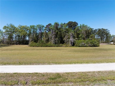 11.34 AC Burt Ln, Hayes, VA 23072 - photo 2