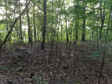 20180604_195420_resized-1