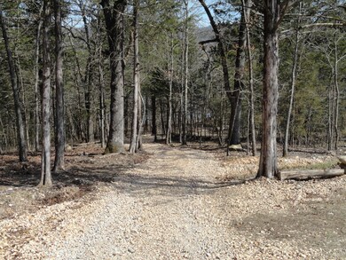 Lot 25 Lake Cottage Ln, Williams Township, MO 65747 - photo 6