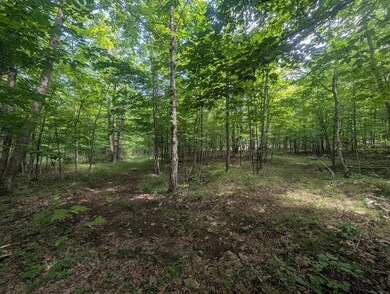PXL_20250709_155253613
