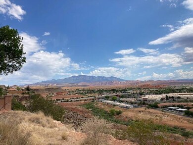 IMG_2995