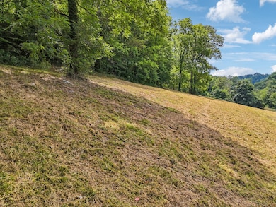 10A Puncheon Camp Ln, Bell Buckle, TN 37020 - photo 5