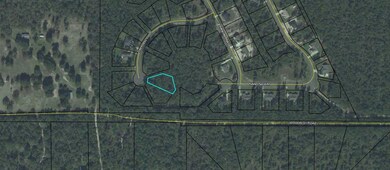 0 Daffodil Cove unit 313624, Crawfordville, FL 32327 - photo 2