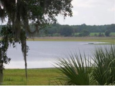 Lot 47 SW Neptune Blvd, Dunnellon, FL 34431 - photo 4