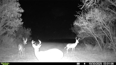 0 County Road 215, McCoy, TX 78113 - photo 2