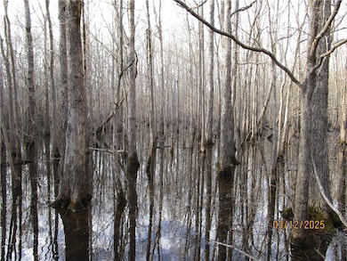 0 Obie Smith Rd unit 2491301, Atlanta, LA 71404 - photo 5